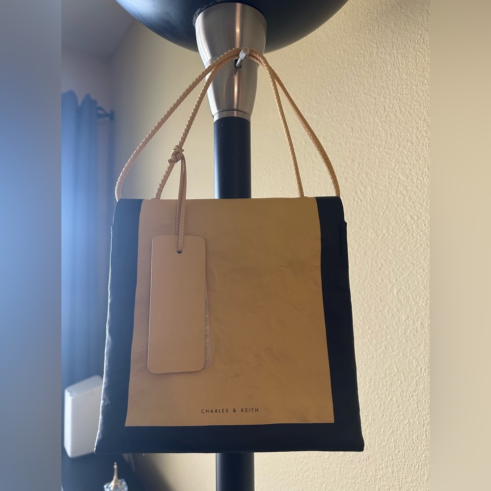 Charles&Keith bag